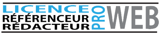 licence redacteur et referenceur web